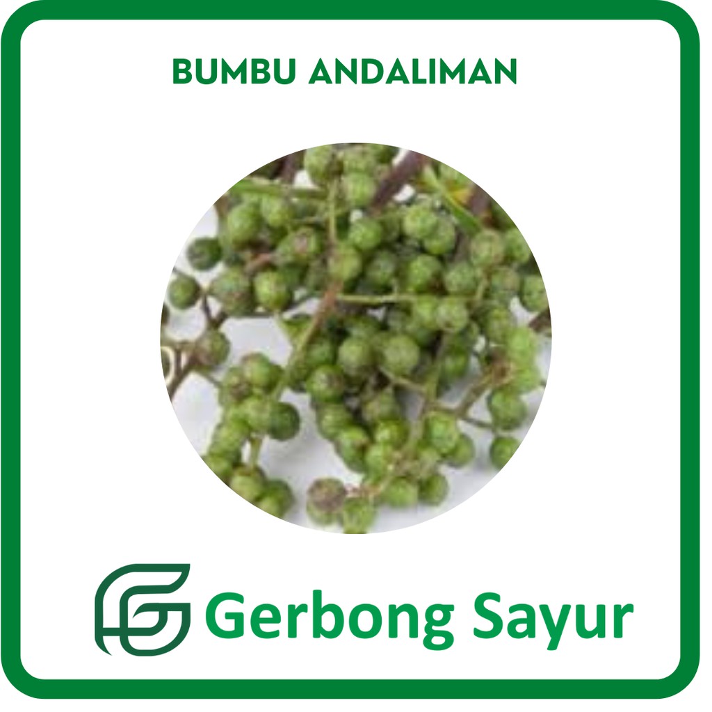 

Bumbu Andaliman Segar per Ons