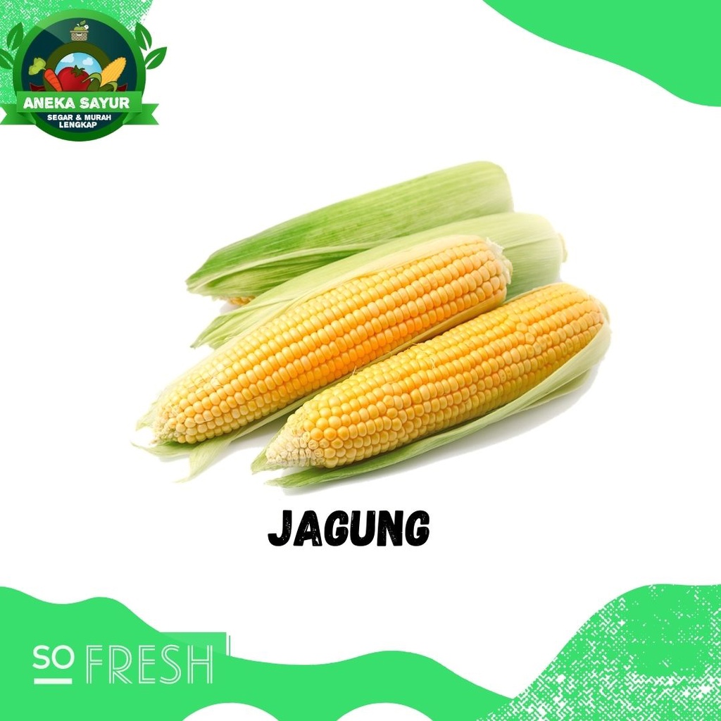 

Jagung