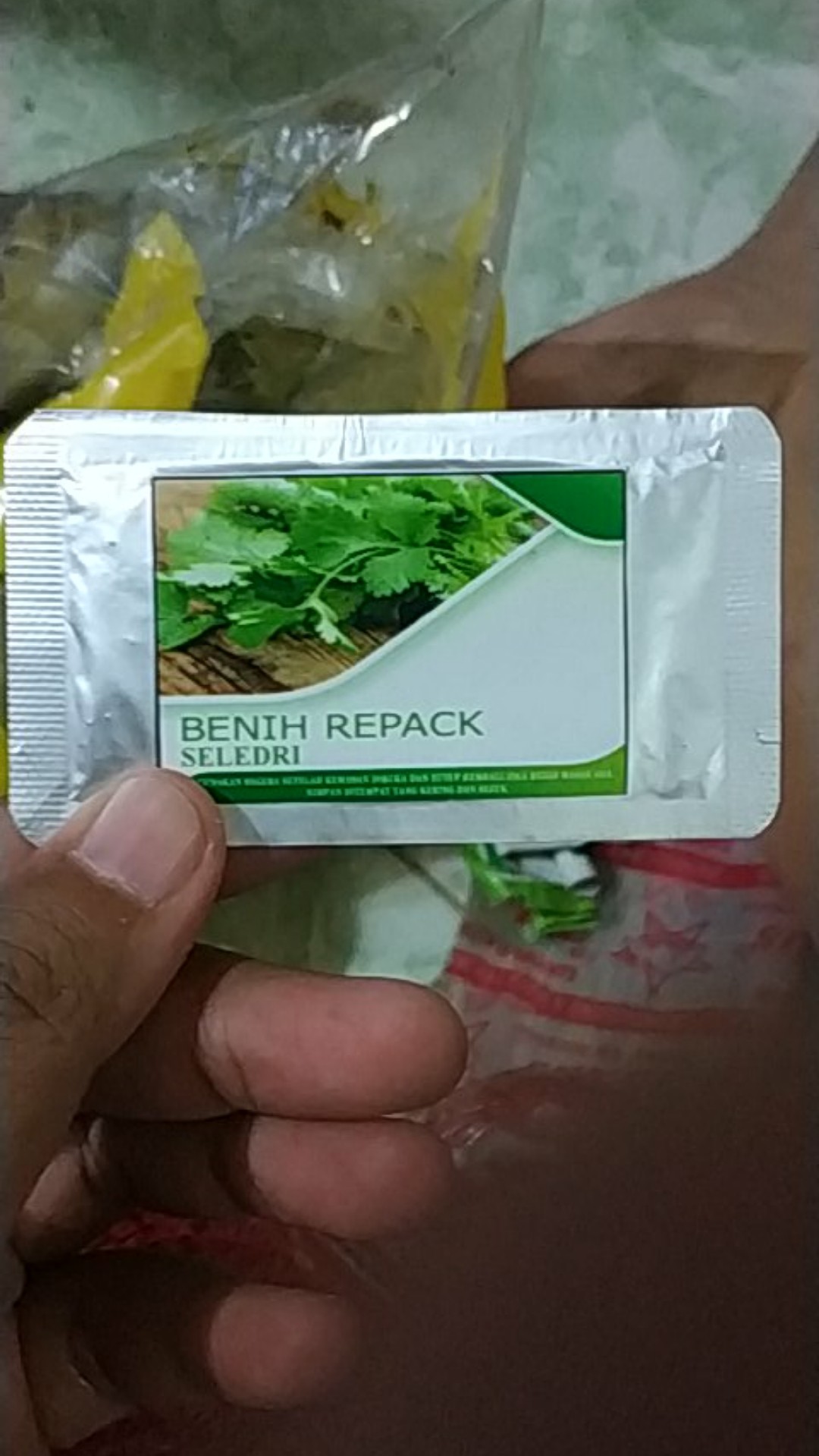 Bibit Seledri Benih Sayuran Unggul Benih Repack  Benih Seledri Amigo