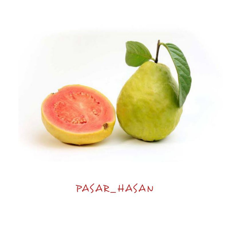 

PASAR HASAN | 1KG Jambu Biji Merah | Buah Segar | Sayur Online