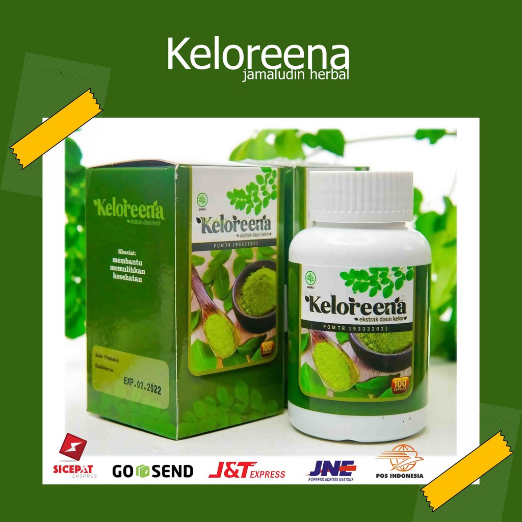 Daun Kelor Untuk Berat Badan Mengecilkan Perut Dengan Daun Kelor Daun Kelor Langsing Keloreena Indonesia