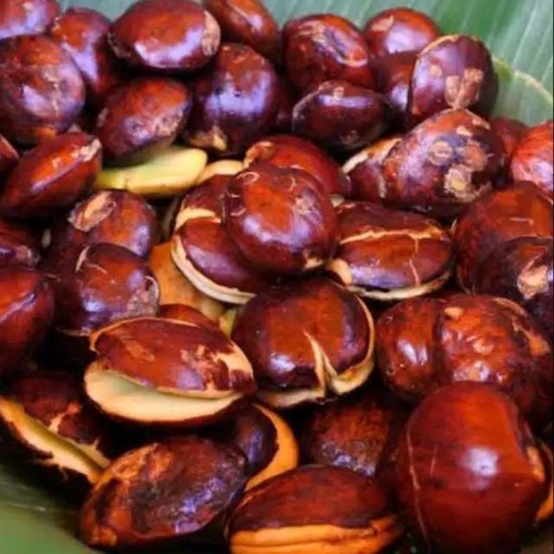 Jual KangSayur Sayuran Segar JENGKOL TUA REBUS Kiloan Shopee Indonesia