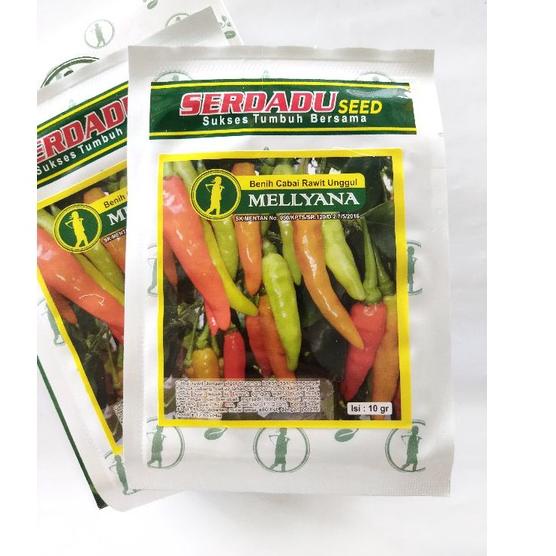 [PRODUK PTQ8R] Benih cabe MELLYANA cabai rawit putih unggul, cabai rawit tahan penyakit 8PA