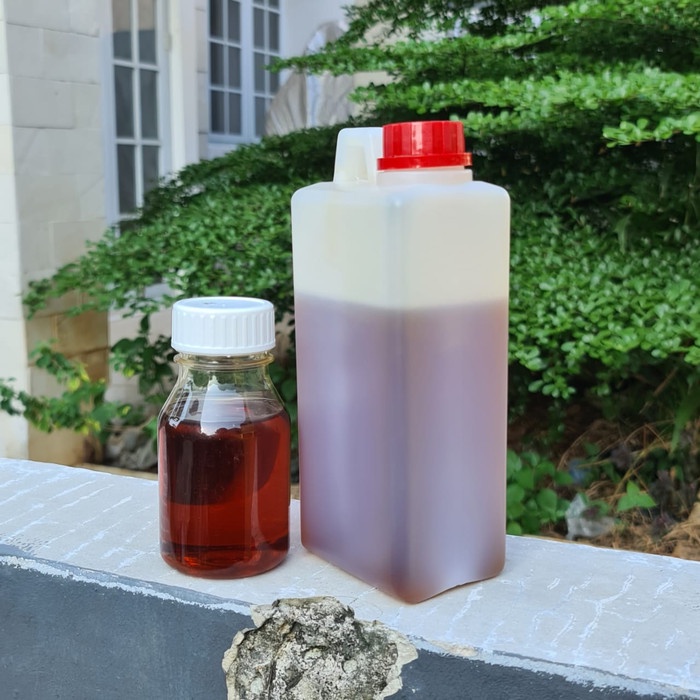 

G02G Madu Kalimantan Isi Bersih 1Kg Ds5Gh