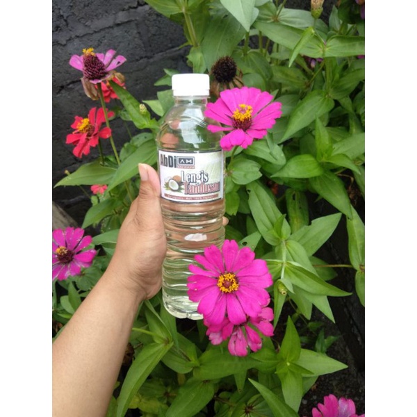 

MINYAK KELAPA MURAH ASLI BALI /MINYAK /KELENTIK