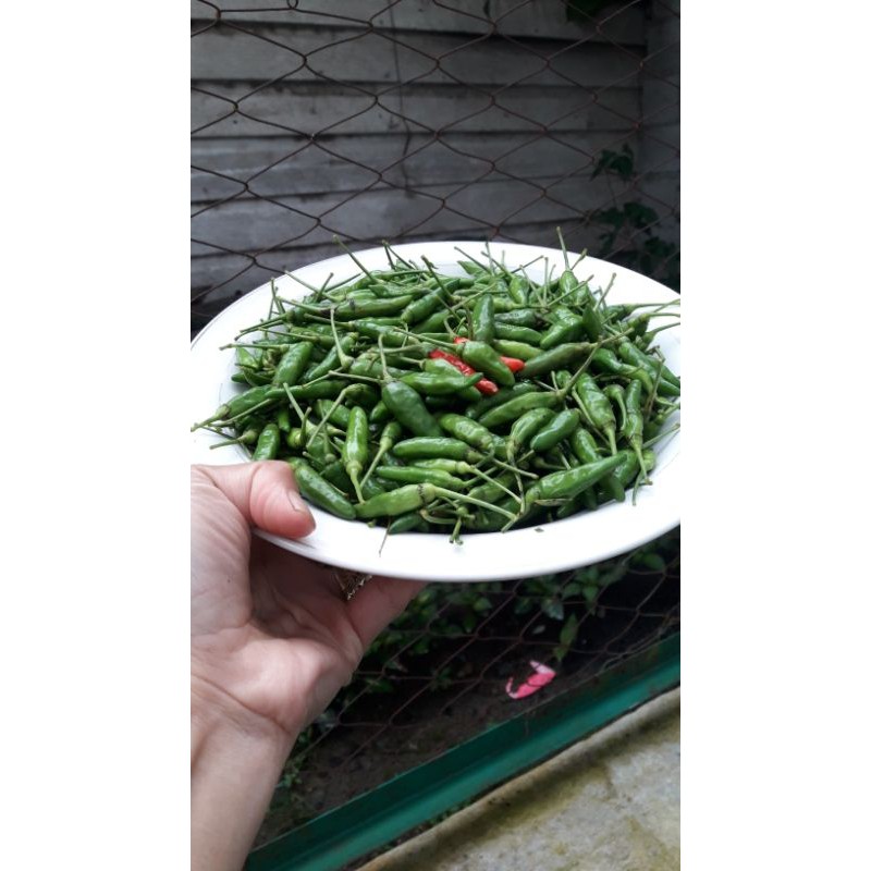 

Cabe Rawit Hijau 1 kg Rawit Pedas