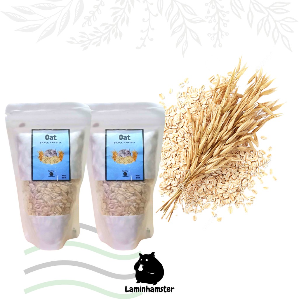Snack Hamster Rolled Oat | Makanan Hamster | Cemilan Hamster