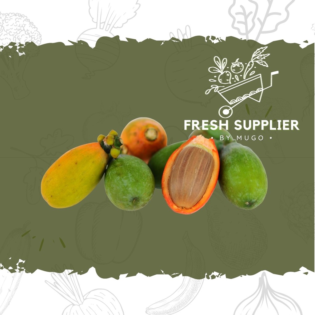 

Biji Melinjo 250g Fresh Supplier