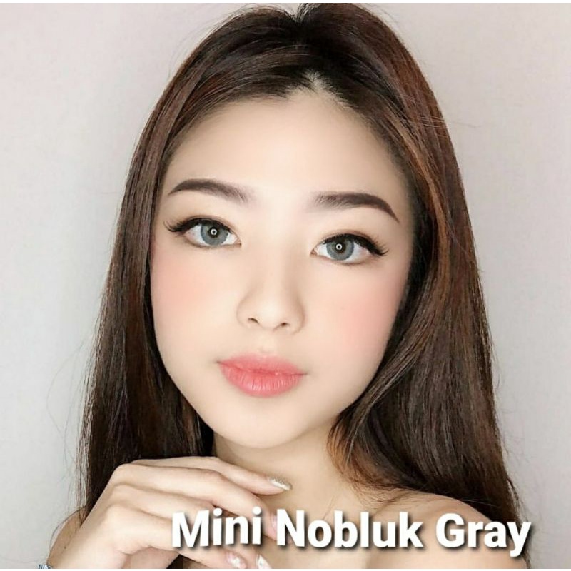 Softlens Dreamcolor Mini Nobluk Gray Abu dia.14mm Normal Minus s.d -8.00