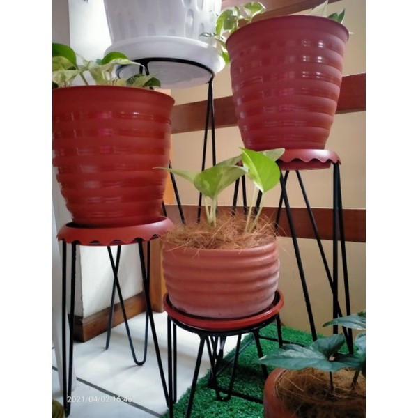 STANDING POT V MURAH T20CM D15CM