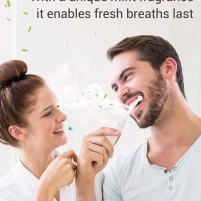 STOCK BREYLEE TEETH WHITENING POWDER AND PEN BREYLEE PEMUTIH GIGI BREYLEE ODOL PEMUTIH GIGI DAN MENG