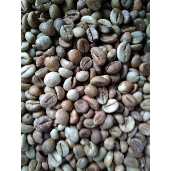 

Kopi biji robusta Toraja 1kg