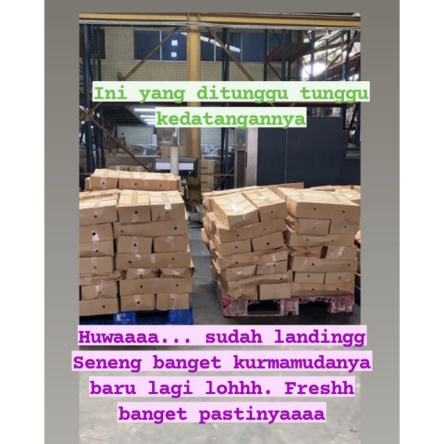 Kurma Muda Asli Fress 1000gr 500gr 250gr /Program Ibu Hamil Penyubur Kandungan dan Janin Obat Mandul