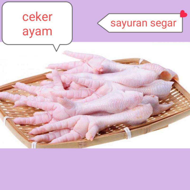 

CEKER AYAM SEGAR