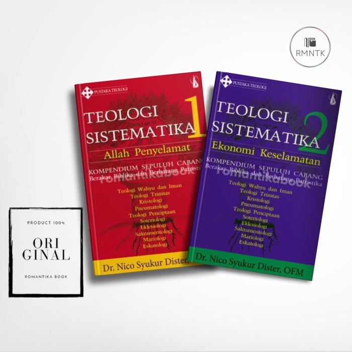 PAKET BUKU TEOLOGI SISTEMATIKA 2 JILID Allah Penyelamat & Ekonomi Keselamatan - Nico Syukur Dister -