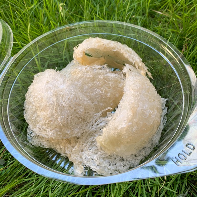 

SARANG BURUNG WALET / BIRDNEST ( MURNI )