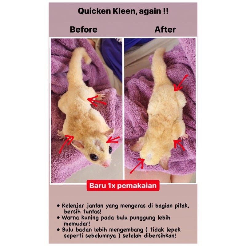 QUICKEN KLEEN 100ml SPRAY PEMBERSIH SUGAR GLIDER PEMBERSIH HEWAN PEMBERSIH HAMSTER KELINCI CHINCILA