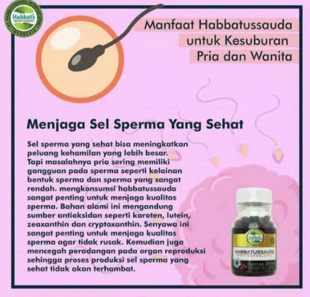 Habbatusauda oil soft capsul promil program hamil Original-5