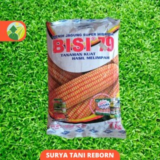 Jual Benih Jagung Super Hibrida Bisi 79 Isi 1kg Cap Kapal Terbang ...