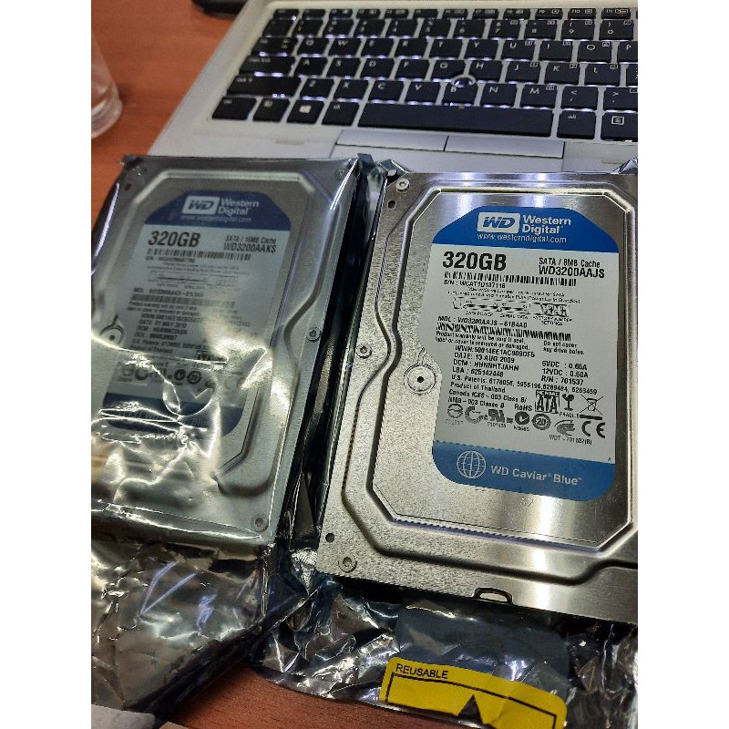 Hardisk Hdd 320Gb 3.5 inch sata Wd blue for PC / Komputer