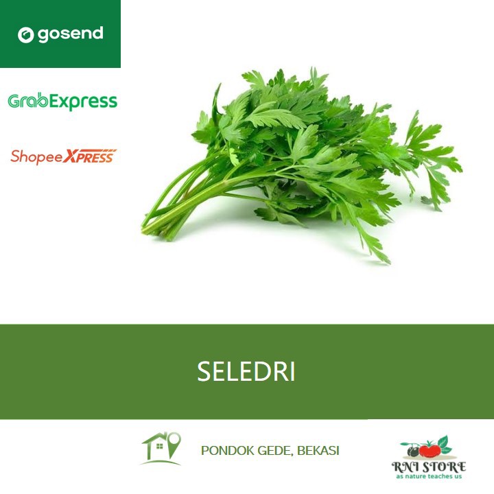 

Sayuran - Daun Seledri per ikat