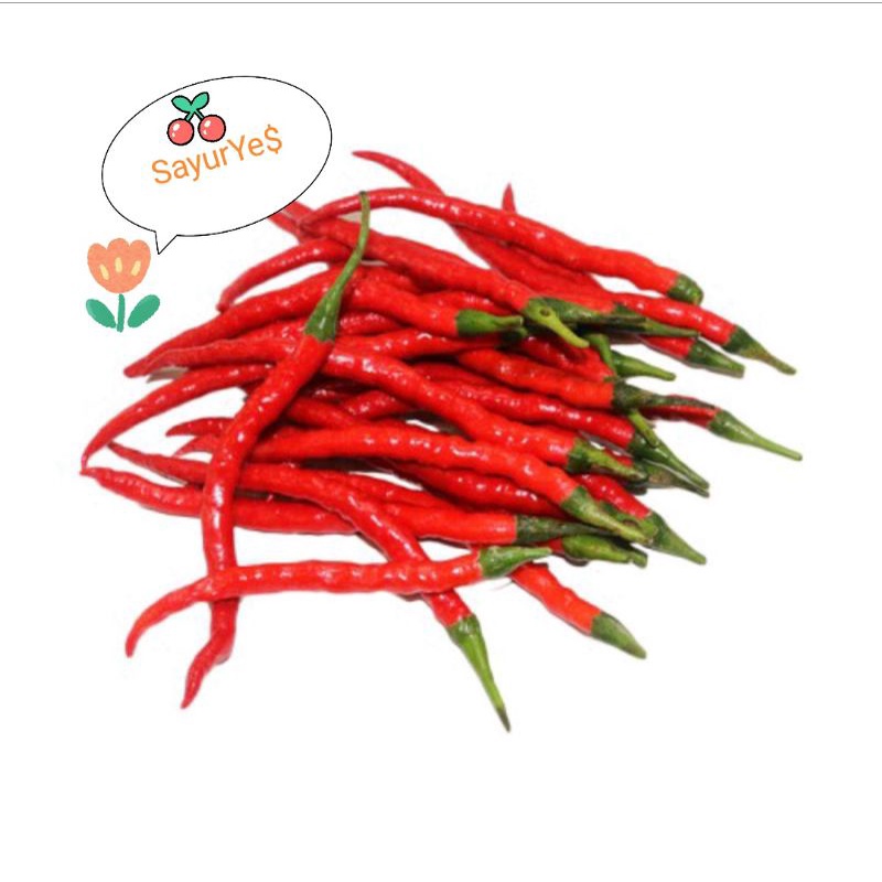 

CABE KERITING MERAH 100GR - 500GR