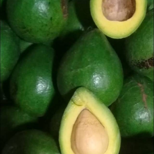 

ALPUKAT MENTEGA Premium 1 kg