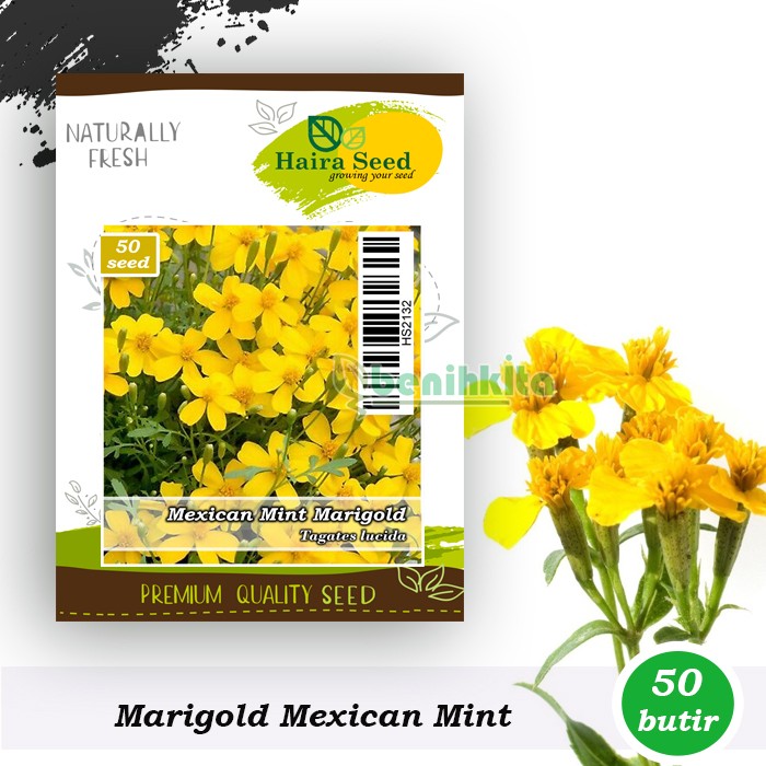 Benih-Bibit Marigold Mexican Mint (Haira Seed)