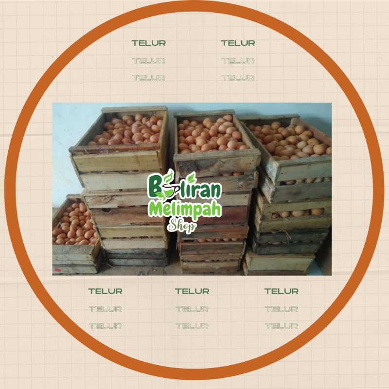

Telur ayam / Telor ayam / Telur Negri / Telur Negeri / Egg / Ndog / Telur / Telor