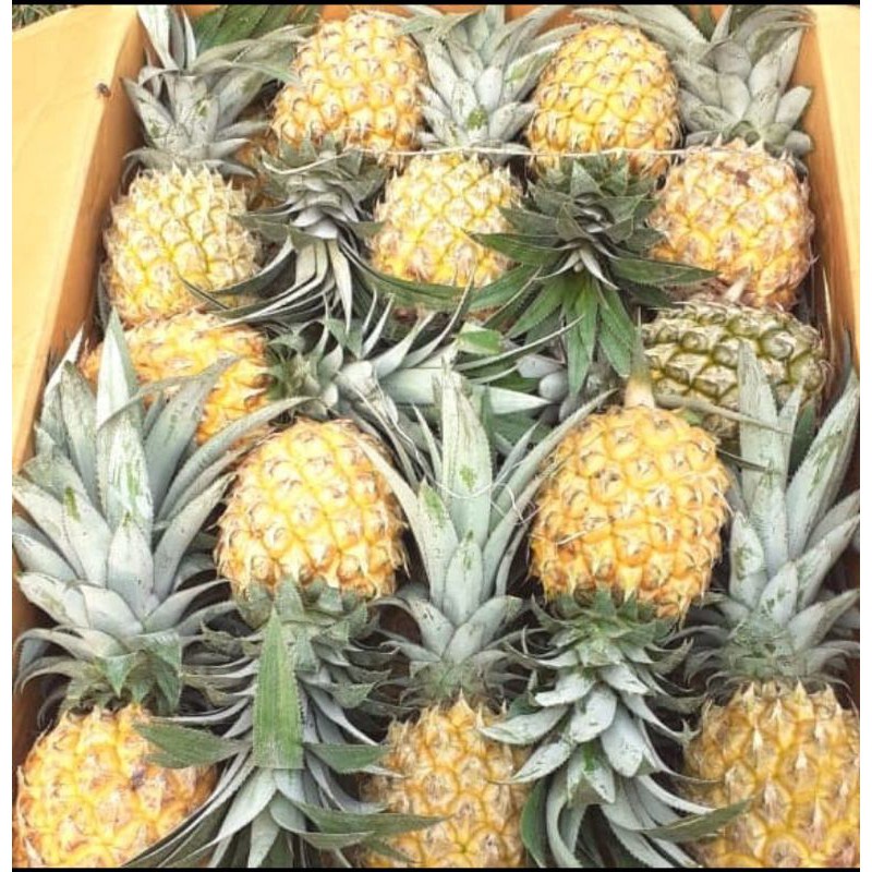 

nanas madu manis 1 buah