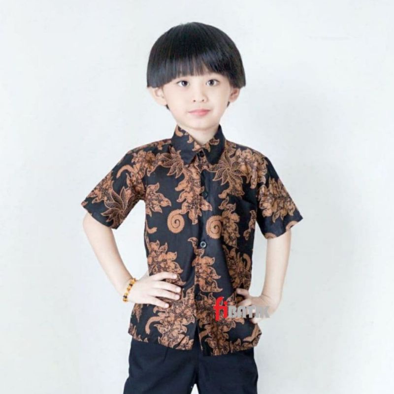 Kemeja Batik Anak - batik anak - baju batik anak laki laki umur 2-12 tahun hem batik anak pendek