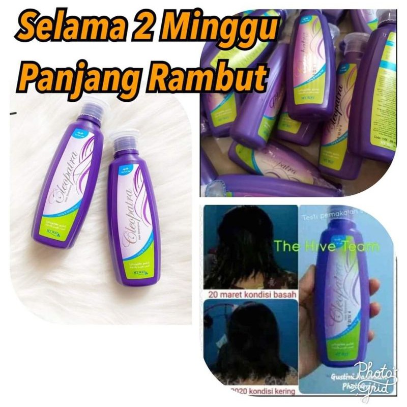 my way Cleopatra  paket shampo dan oil serum pemanjang rambut