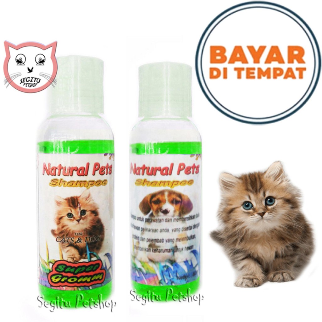 shampo kucing anti jamur kutu natural 50ml