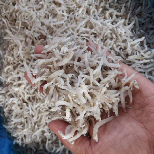 

Ikan Teri Nasi Medan