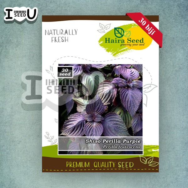 Haira Seed Bibit-Biji Shiso Perilla Purple-Merah