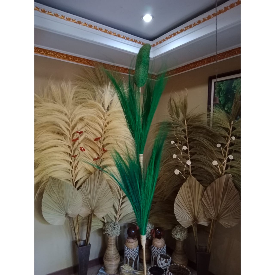 Gambas Rayung Kering/ Gambas Kering/ Rayung Dekorasi/Rayung Stik Gambas