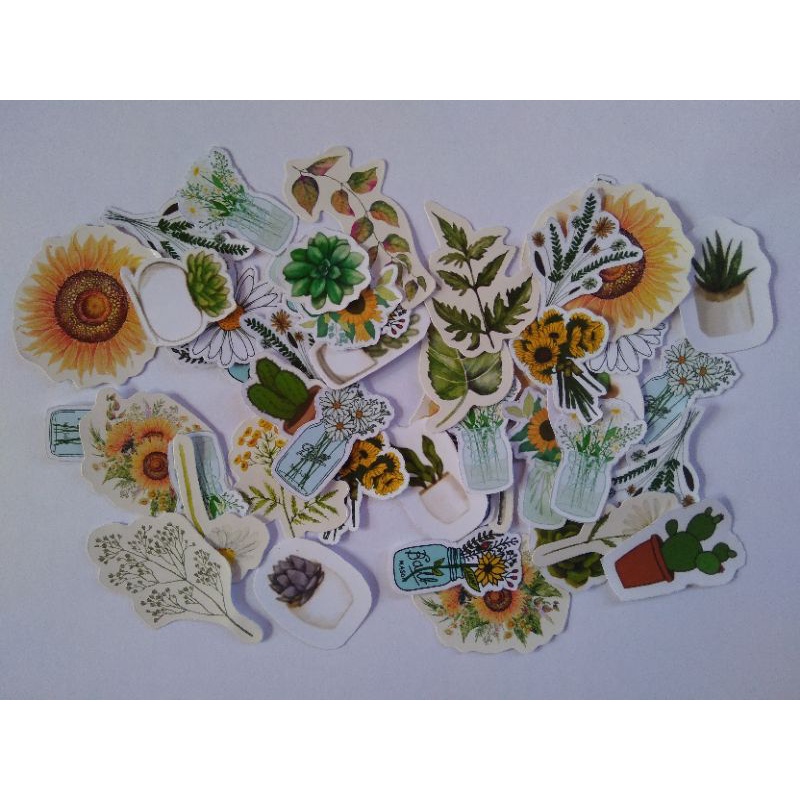 

stiker Aesthetic | Plant | stiker boju