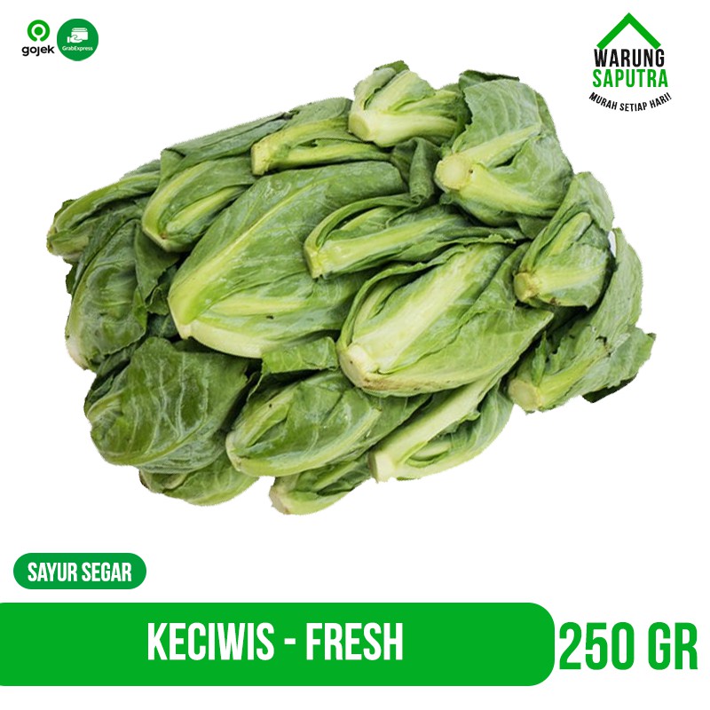 

Sayur Keciwis / Ceciwis Bandung 250g