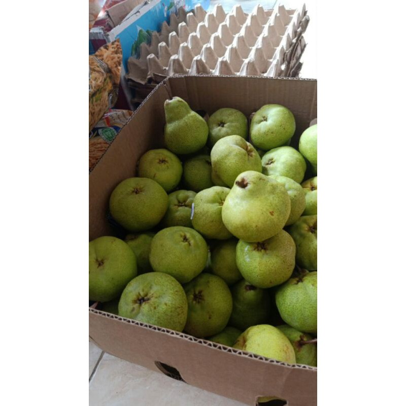 

Pear Hijau(Parkham)