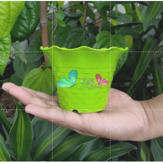 SUN FLOWER MDN 10cm WARNA WARNI Pot bunga Kecil Mini Pot Kaktus TERMURAH Pot Kaktus Mini Aesthetic Besar Keramik Lucu Plastik Gerabah 10cm