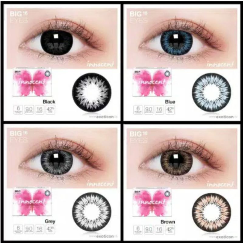 Softlens Warna INNOCENT BROWN by Exoticon MINUS -0.50 S.D -6.00