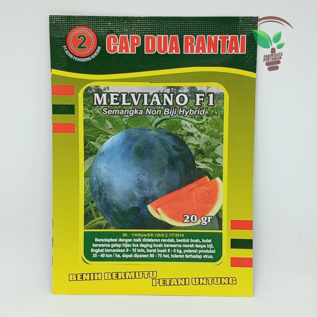 Semangka Non Biji Bulat F1 JUMBO melviano