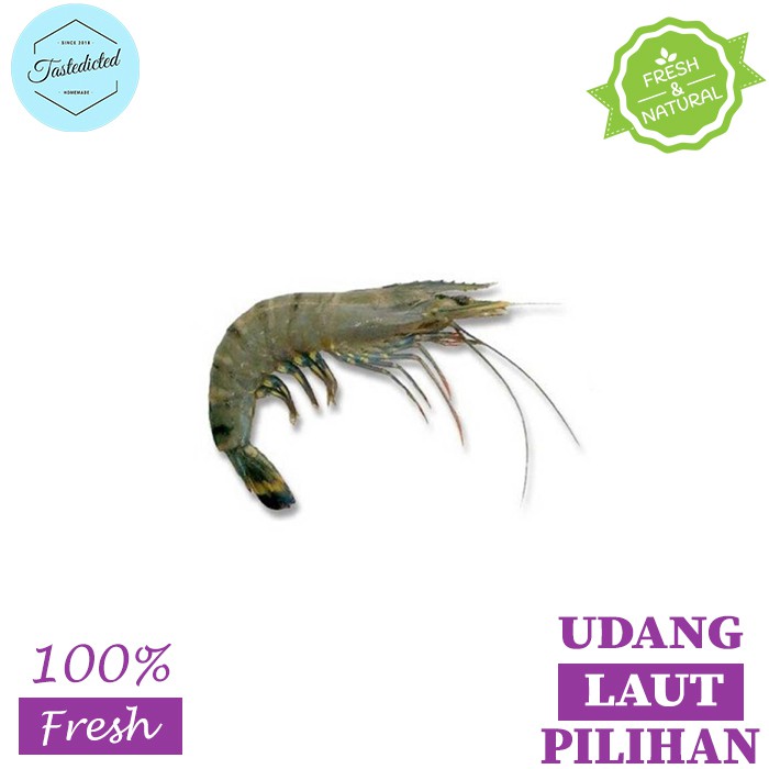 UDANG LAUT SEGAR / SEAFOOD SEGAR / UDANG PANAMI SEGAR / UDANG SEGAR BESAR SEDANG KECIL 250GR