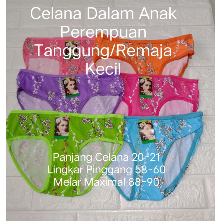 Celana Dalam Anak Perempuan Tanggung (276) CD Cewek/Remaja Kecil