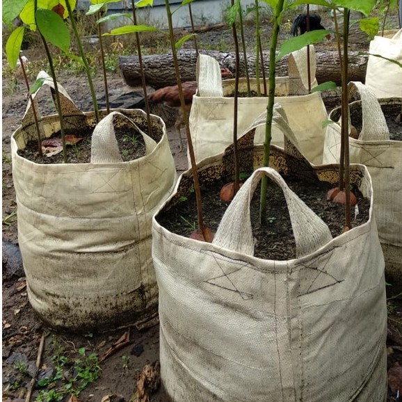 PLANTER BAG POT TANAMAN POT BIBIT POT BUNGA 75L