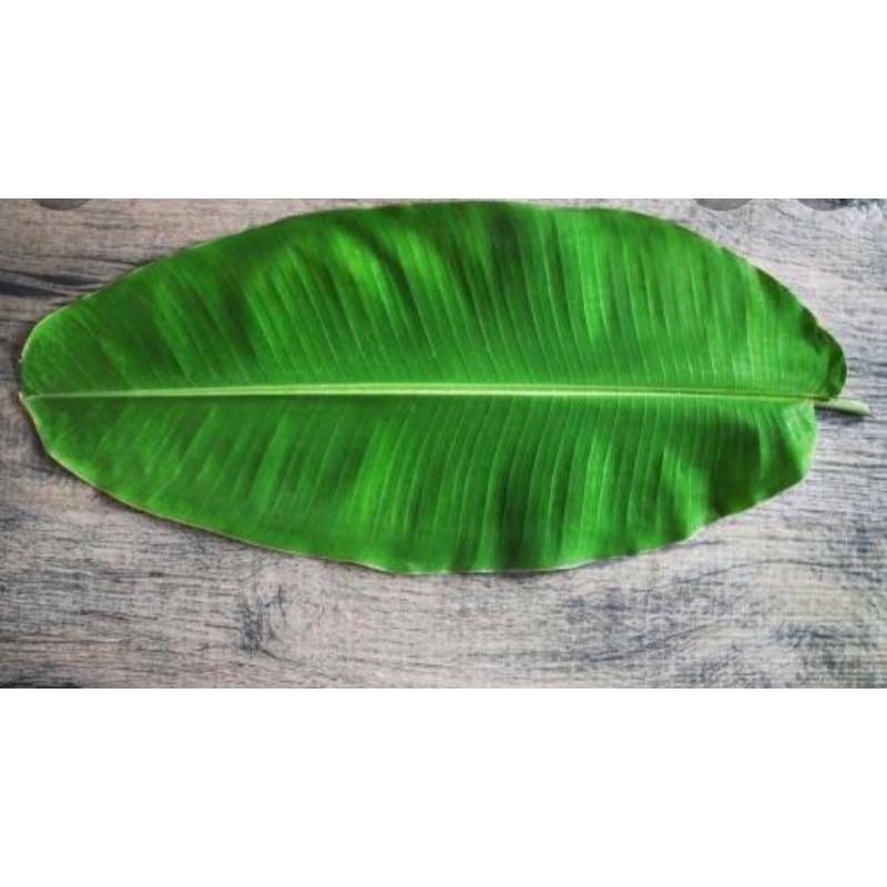 

Daun pisang