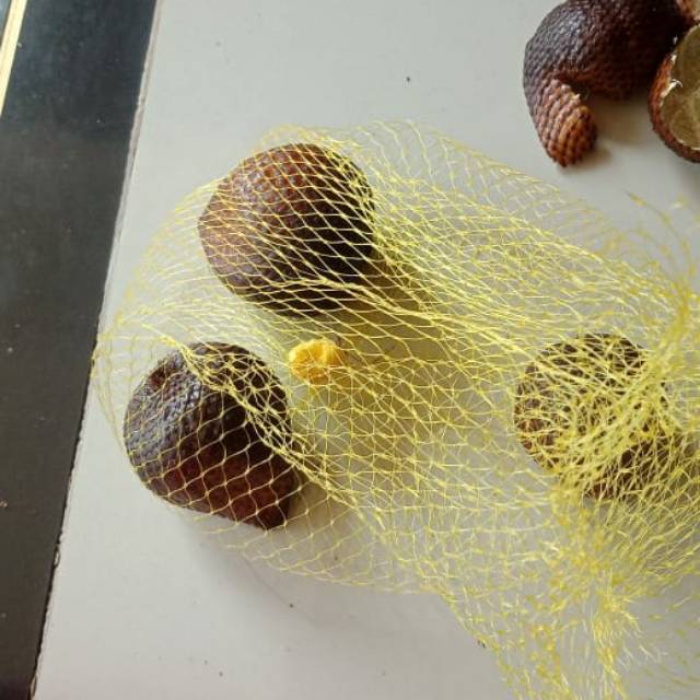 

Salak pondo
