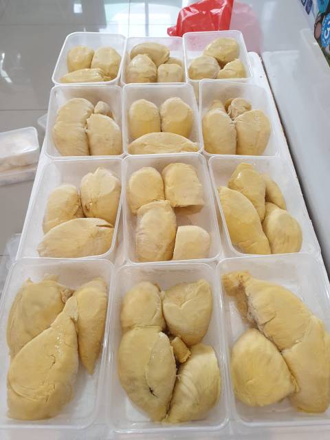 

Durian Montong Sulawesi (500gram)