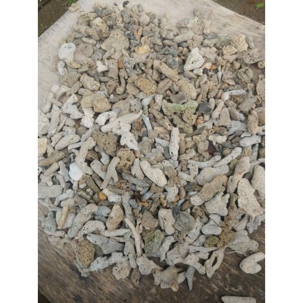 karang jahe media filter kolam kemasan 10kg