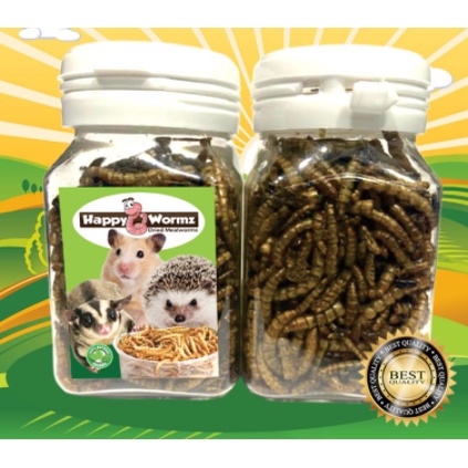 MEALWORM BOTOL - DRIED MEALWORM ULAT HONGKONG KERING SNACK HAMSTER SUGAR GLIDER LANDAK